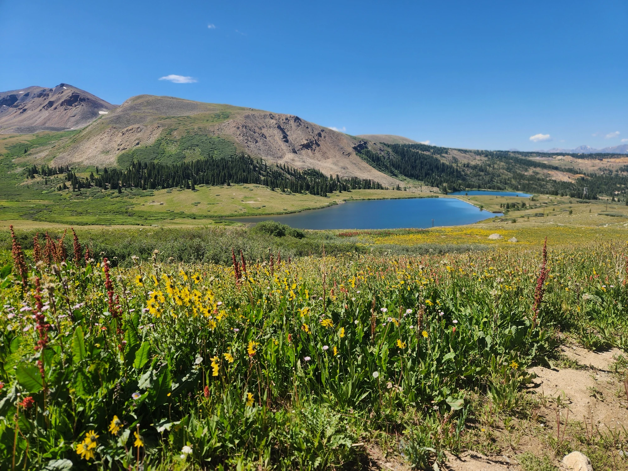 High alpine lakes, wildflowers and mountains under clear blue sky.