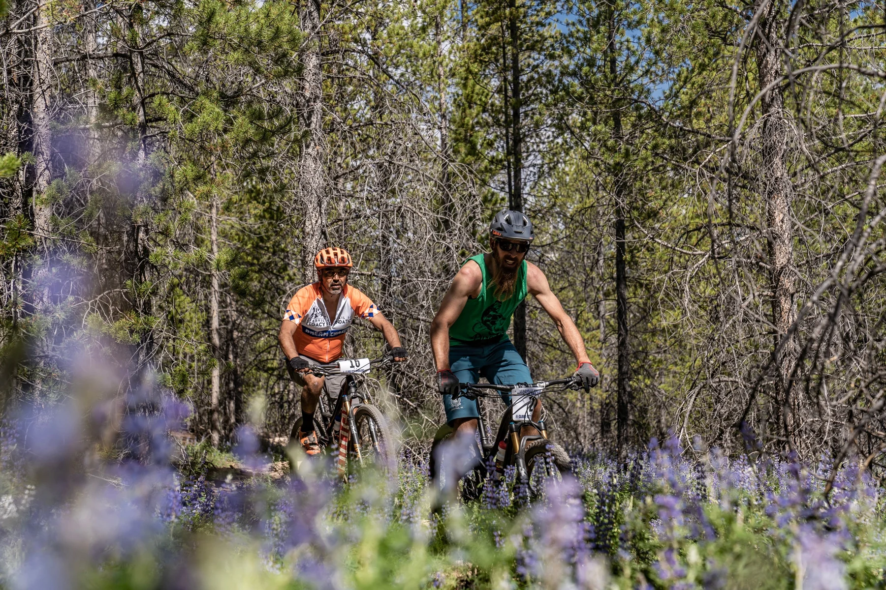 Two cyclists ride through a wooded trail framed by purple wildflowers.