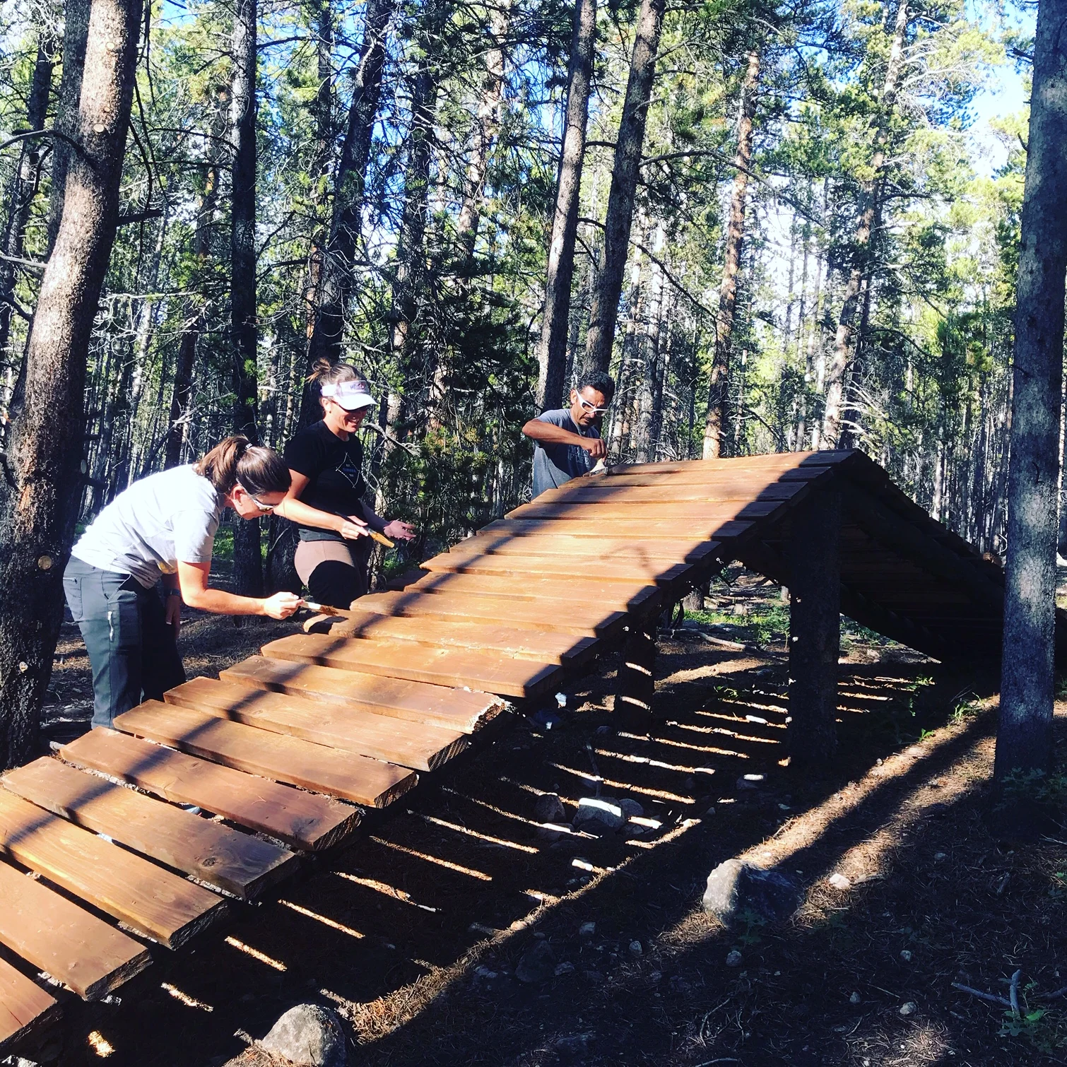 Three volunteers brush stain onto a raised wooden trail feature in a pine forest.