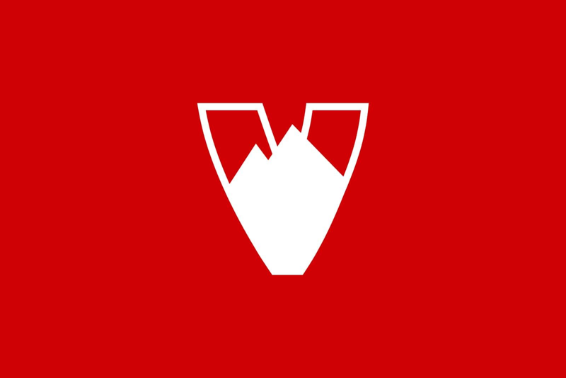 Velosolutions logo