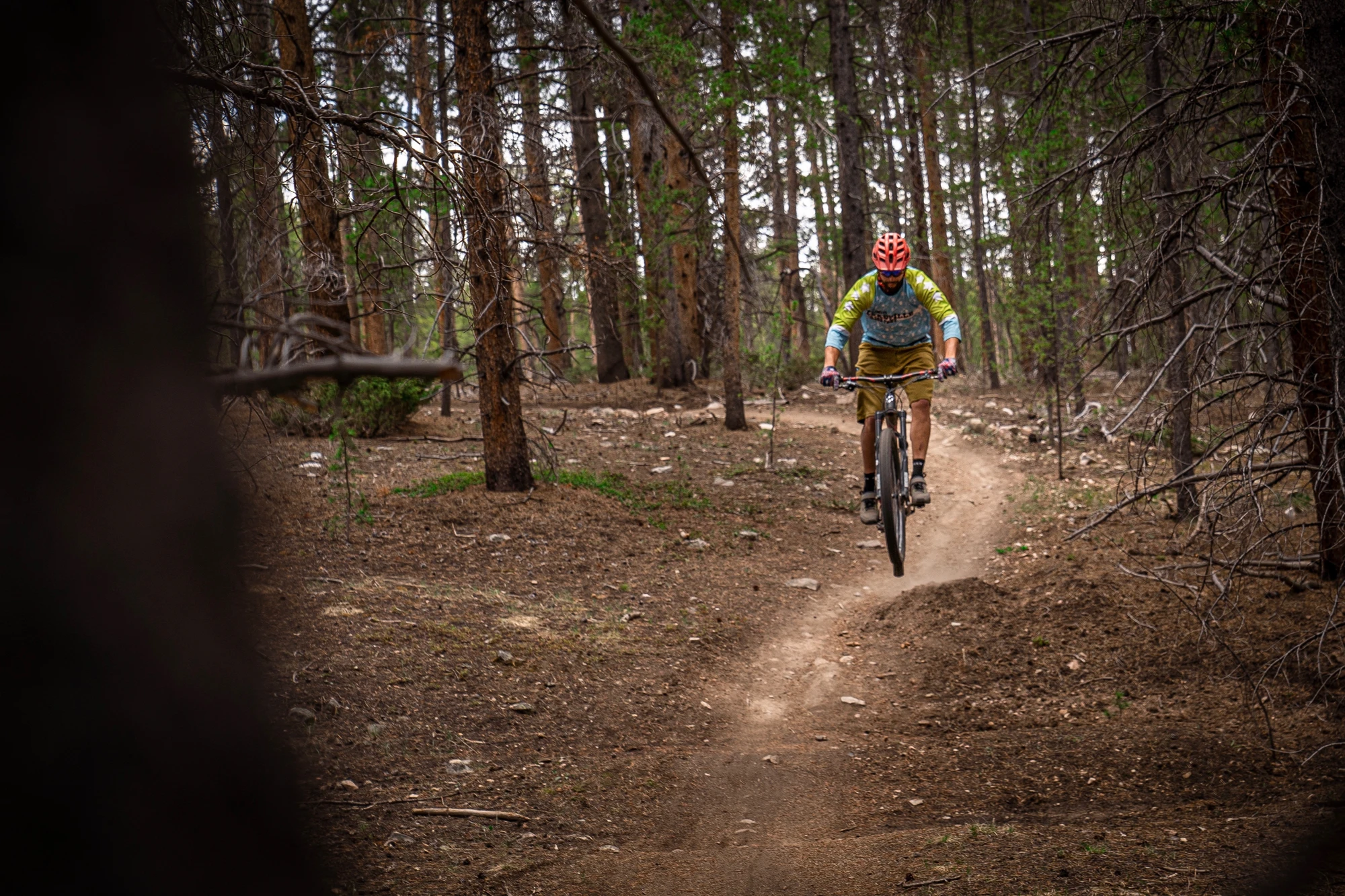 Mountain biker approaching through forest.
